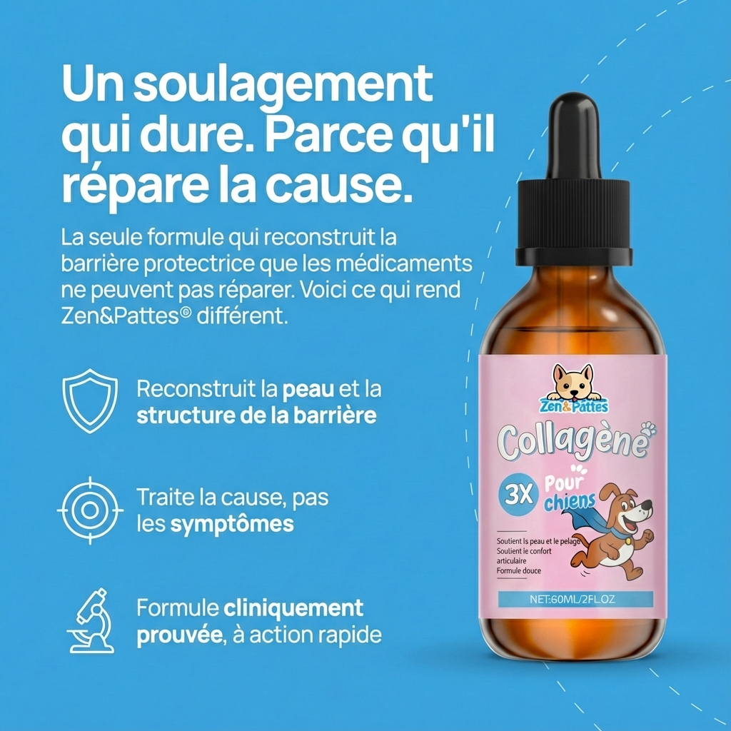 Zen & Pattes® Collagène Liquide Premium