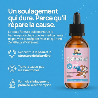 Zen & Pattes® Collagène Liquide Premium