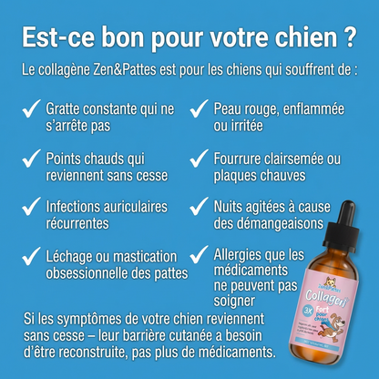 Zen & Pattes® Collagène Liquide Premium